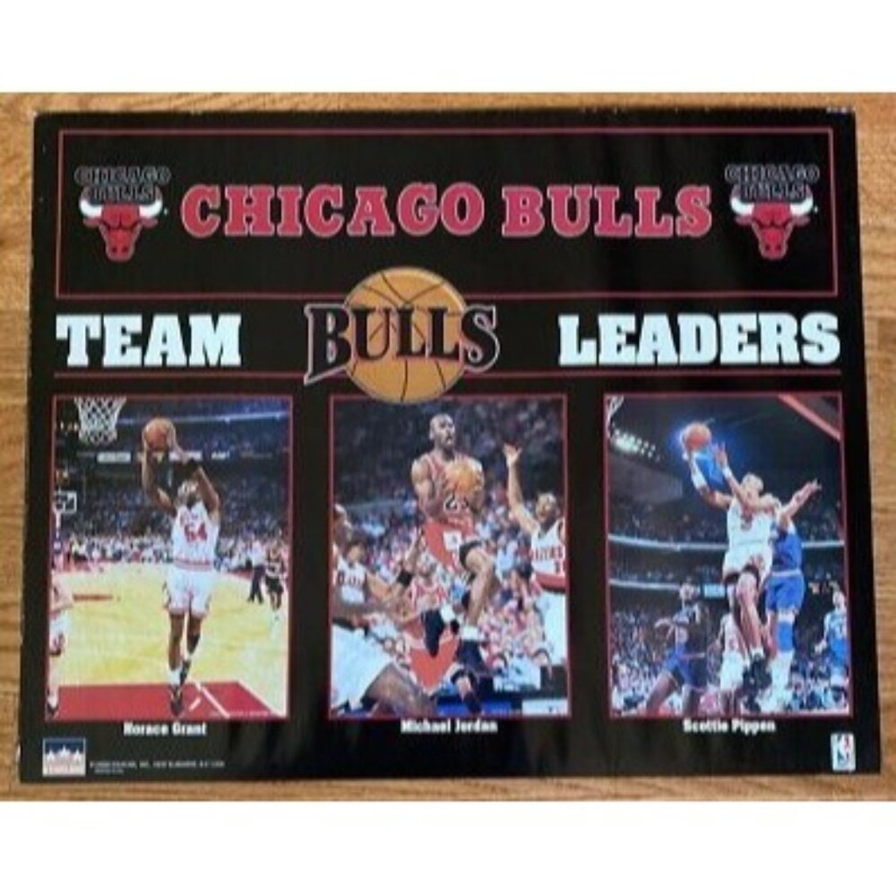 NEW! Vintage 1992-1993 Chicago Bulls Team Leaders NBA Poster